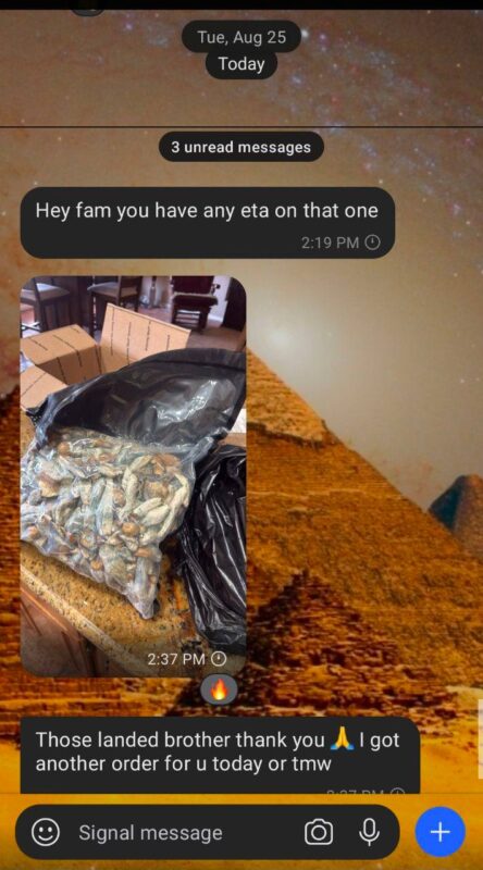 4956336455533923568