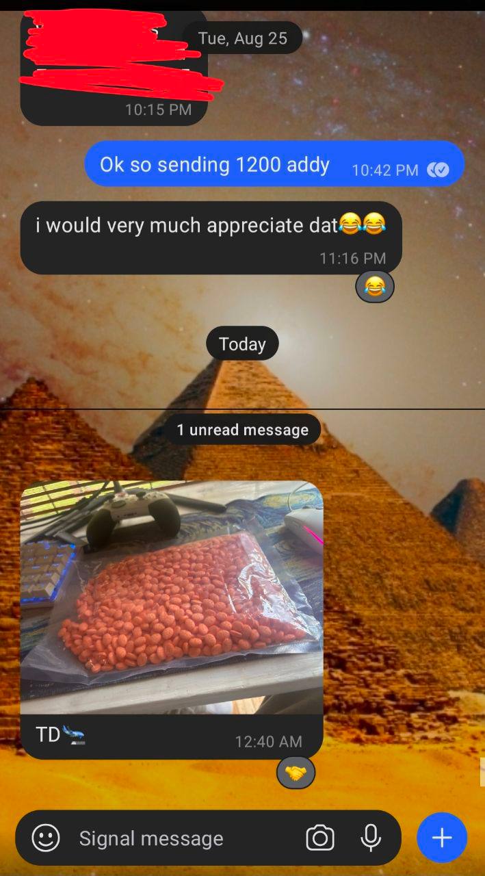 4956336455533923572