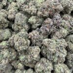 White Cherry Gelato licensed indoor