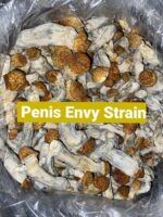 Mushroom- multiple strain available