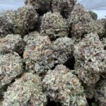 Blueberry Dum Dumz