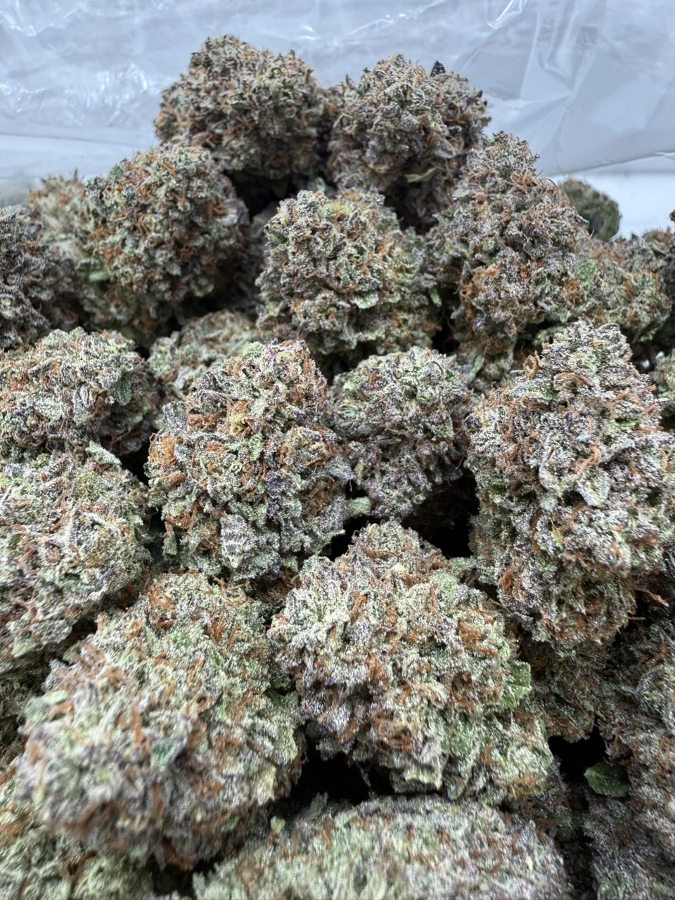 image Blueberry Dum Dumz - Image 1