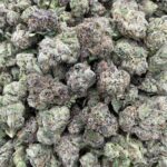 Warheads sm licensed indoor