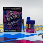 PACKMAN X PARTY BOYZ 2G DISPOSABLES W/JOINT