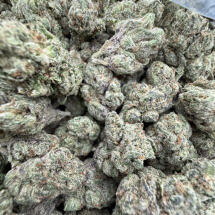 Blue lobster