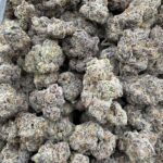 White cherry gelato license indoor